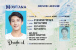 US Montana Driver's License USA Driver License Template