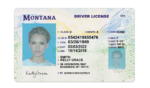 US Montana Driver's License USA Driver License Template