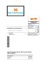 Bank Statement Netspend Bank Statement word Template