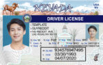 US Nevada Driver's License USA Driver License Template V1&2&3
