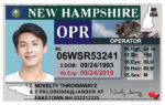 US New Hampshire Driver's License USA Driver License Template