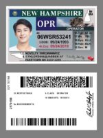 US New Hampshire Driver's License USA Driver License Template