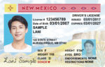 US New Mexico Driver's License USA Driver License Template