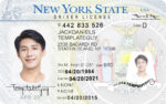 US New York NYC Driver's License USA Driver License Template V1&2&3