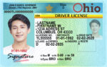 US Ohio Driver's License Driver License Template