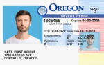 US Oregon Driver's License Driver License Template V1&2