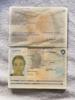 France Passport Template Photo Picture Template V1&2