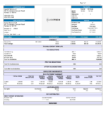 Paystub Generator GuideTech Proof Template PDF