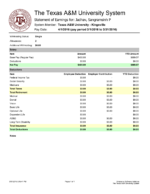 Paystub Generator The Texas A&M University System Template PDF