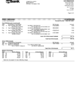 Paystub Generator US Bank Stements AND Rewards Template PDF