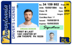 US Pennsylvania Driver's License Driver License Template V1&2