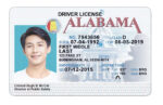 US Alabama Driver's License USA Driver License Template V1&2&3