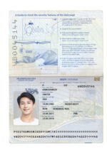 Estonia Passport Template Photo Picture Template