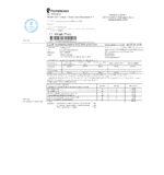 Ediable Utility Bills Russia Pack Blank Template