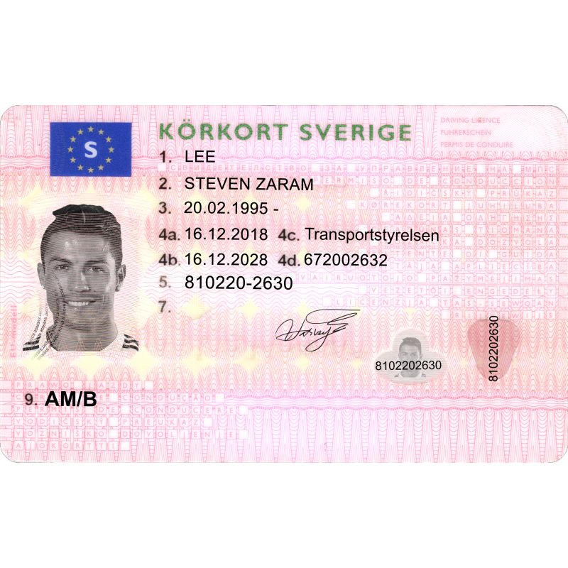 SWEDEN FRONT DRIVER1 (2) (2)