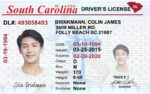 US South Carolina Driver's License US Driver License Template V1&2&3