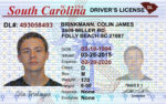 US South Carolina Driver's License US Driver License Template V1&2&3