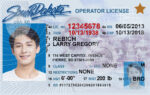 US South Dakota Driver's License US Driver License Template