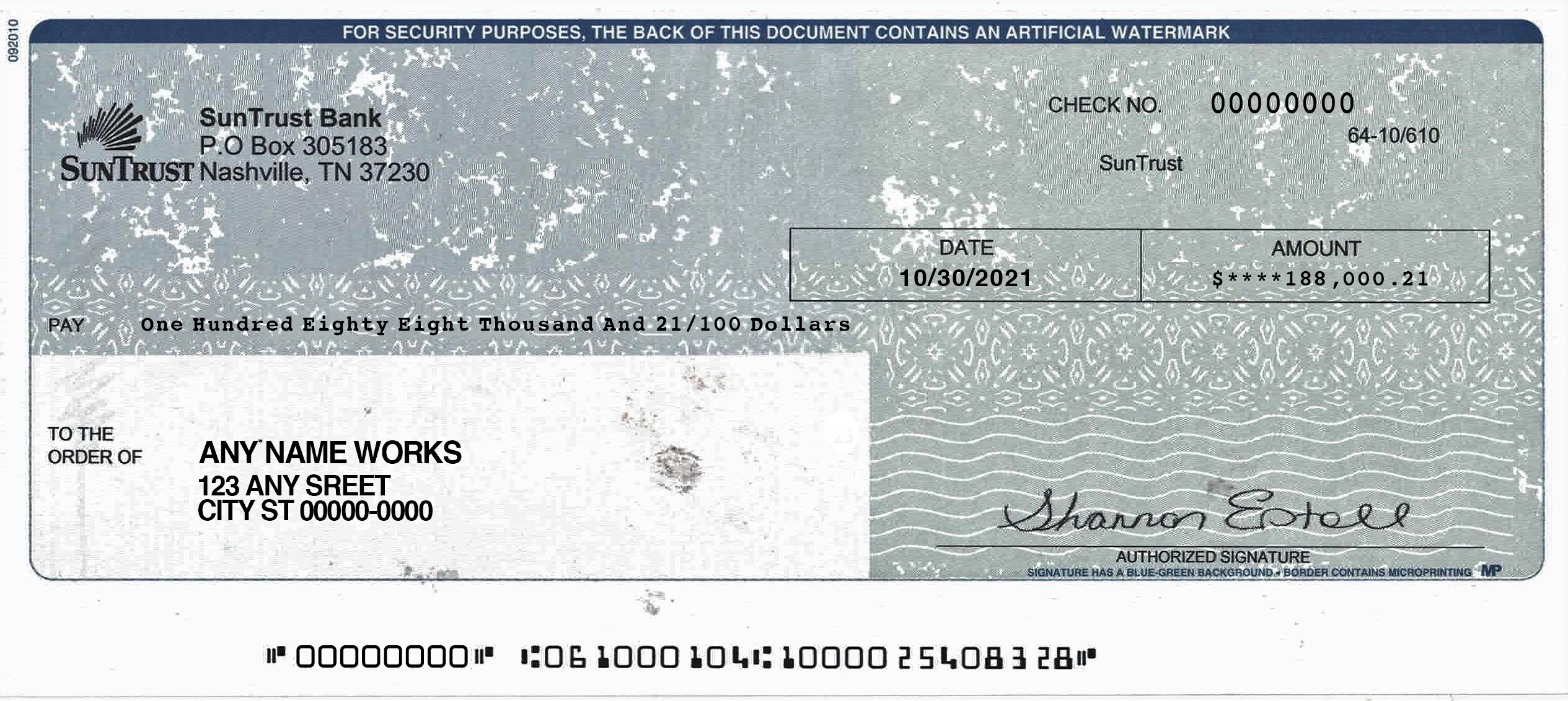 SunTrust Blank Check Bank Statement Sun Trust Blank Cheque