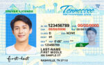 US Tennessee Driver's License US Driver License Template
