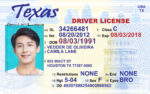 US Texas Driver's License US Driver License Template V1&2