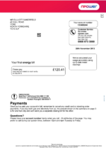 Ediable Utility Bills UK NPower Energy Electricity Bill Blank Template-V1&2&3