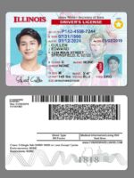 US Illinois Driver's License USA Driver License Template