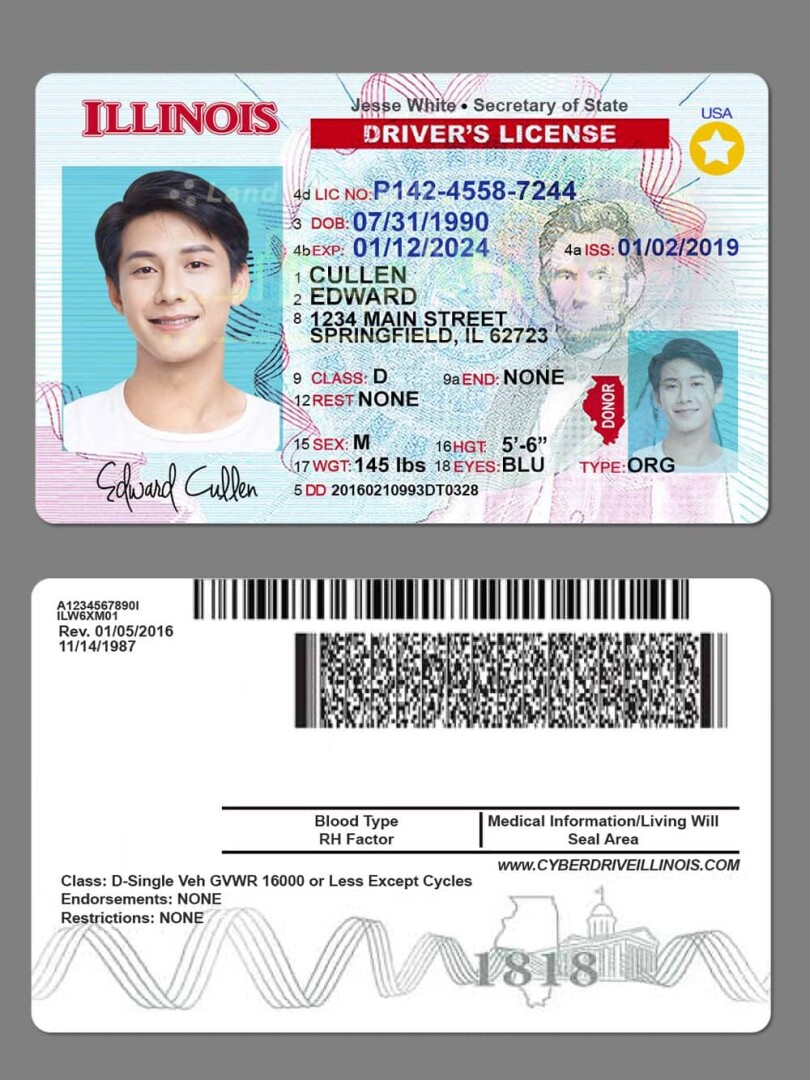 US Illinois Driver’s License US Illinois Driver's License USA Driver License Template