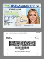 US Massachusetts Driver's License USA Driver License Template V1&2&3