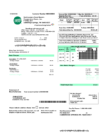 Ediable Utility Bills USA Pennsylvania Northwestern Rural Electric Blank Template
