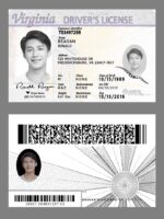 US Virginia Driver's License Driver License Template