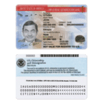 USA Employment Authorization Card Design ID Card Template