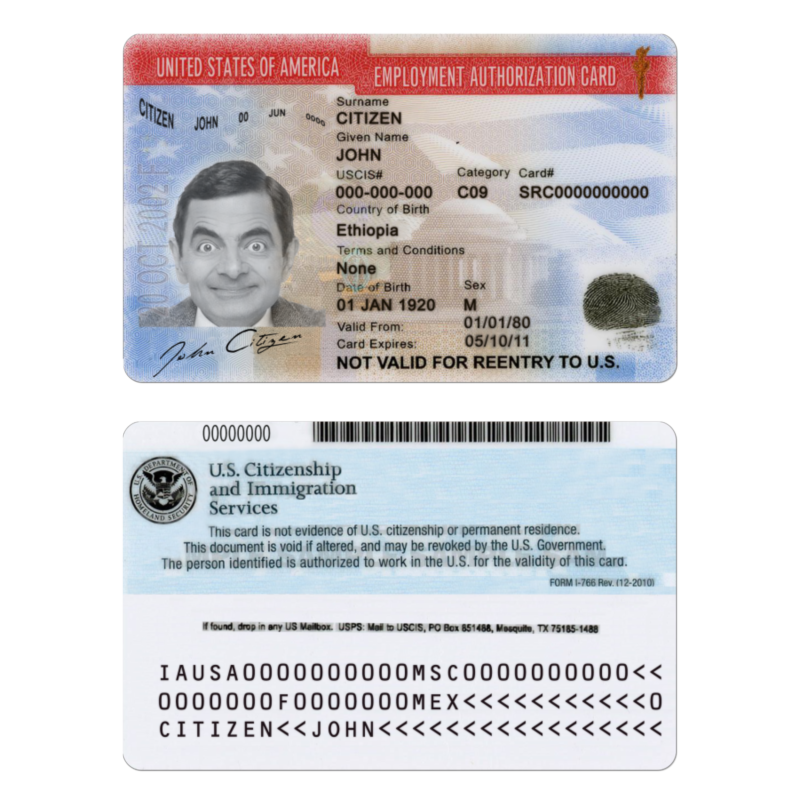 USA employment authorization card version 2 (2) (2) (2) USA Employment Authorization Card Design ID Card Template