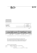 Bank Statement USAA Bank Statement word V1&2