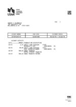Bank Statement USAA Federal Savings Bank Statement-PSD