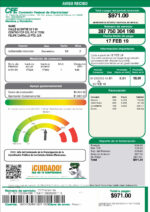 Ediable Utility Bills Mexico CFE Power Blank Template