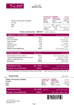 Ediable Utility Bills Qatar Power Phone Bill Blank Template