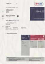 Ediable Utility Bills UK NPower Energy Electricity Bill Blank Template-V1&2&3