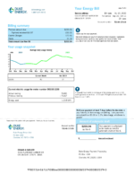 Ediable Utility Bills USA Florida Duke Energy Bill Blank Template