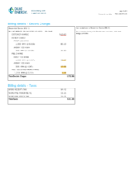 Ediable Utility Bills USA Florida Duke Energy Bill Blank Template