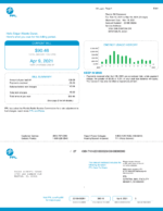 Ediable Utility Bills USA Florida FPL Energy Utility Bill Blank Template