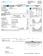 Ediable Utility Bills USA Illinois Peoples Gas Blank Template-Word&PDF Template