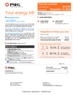 Ediable Utility Bills USA NewJersey PSEG Energy Bill Blank Template