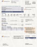 Ediable Utility Bills USA NewJersey South Jersey Gas Bill Blank Template