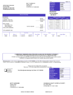 Ediable Utility Bills USA New York Onondaga County Water Authority bill-Word&PDF