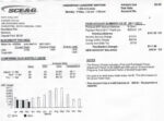Ediable Utility Bills USA South Carolina SCE&G Blank Template