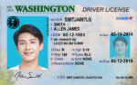 US Washington DRIVERS LICENSE DRIVER LICENSE V1&2