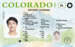 US Colorado Driver's License USA Driver License Template