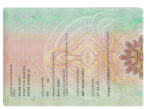 Germany ID CARD Template Design ID Card Template V1&V2&V3&V4