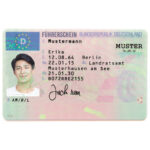 Germany Driver's License USA Driver License Template